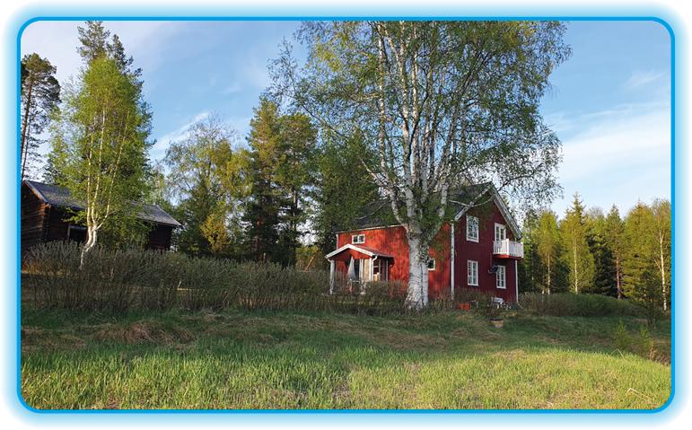 Skov ejendom
