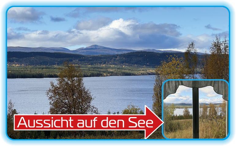Skov ejendom